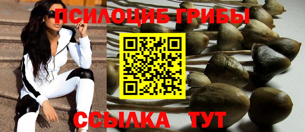 Псилоцибиновые грибы Psilocybe  Псилоцибиновые грибы Psilocybe  Гуково  Вход с VPN 